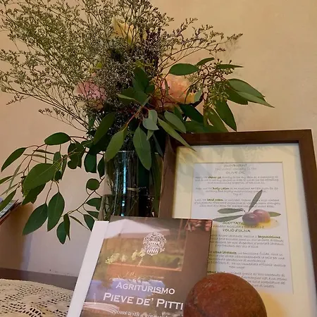 Pieve De' Pitti Frühstückspension Terricciola