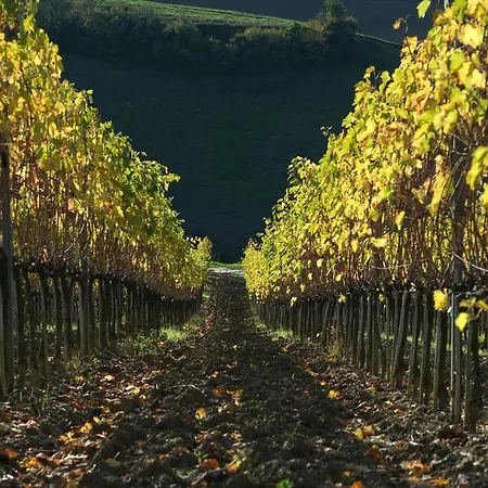 Pieve De' Pitti