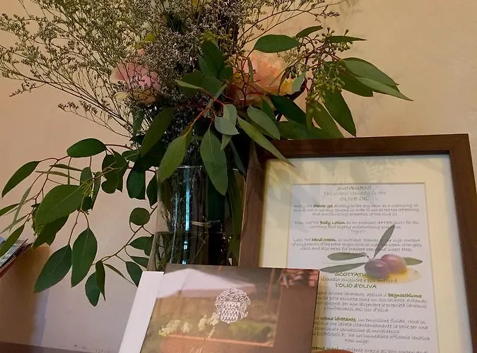 Pieve De' Pitti Couette-café Terricciola